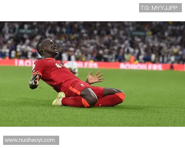 塞内加尔足球明星及其在国际赛场的卓越表现和影响力 塞内加尔足球明星及其在国际赛场的卓越表现和影响力